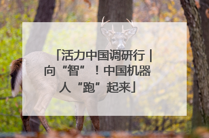 活力中国调研行｜向“智”！中国机器人“跑”起来