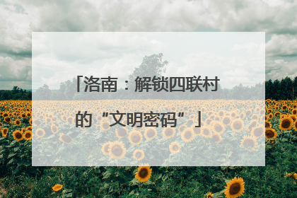 洛南：解锁四联村的“文明密码”