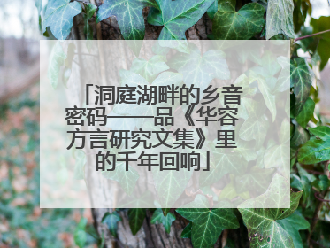 洞庭湖畔的乡音密码——品《华容方言研究文集》里的千年回响