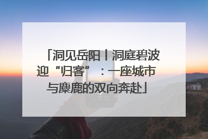 洞见岳阳丨洞庭碧波迎“归客”：一座城市与麋鹿的双向奔赴