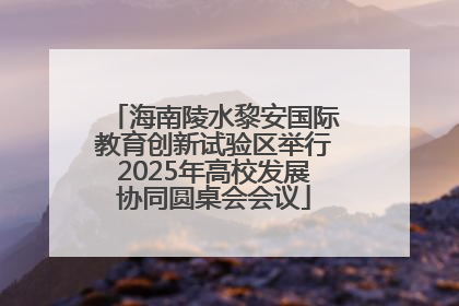 海南陵水黎安国际教育创新试验区举行2025年高校发展协同圆桌会会议
