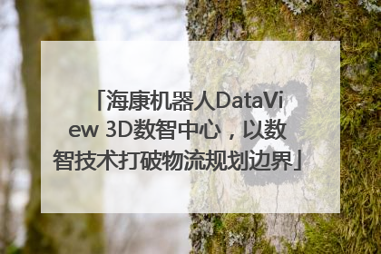 海康机器人DataView 3D数智中心，以数智技术打破物流规划边界