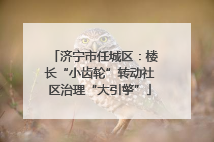 济宁市任城区：楼长“小齿轮”转动社区治理“大引擎”
