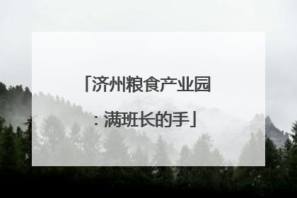 济州粮食产业园：满班长的手