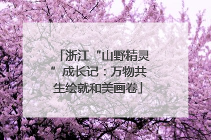 浙江“山野精灵”成长记：万物共生绘就和美画卷