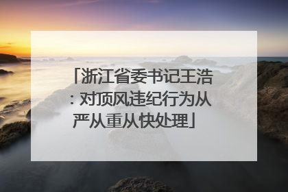 浙江省委书记王浩：对顶风违纪行为从严从重从快处理