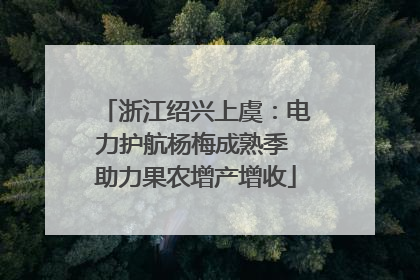 浙江绍兴上虞：电力护航杨梅成熟季 助力果农增产增收