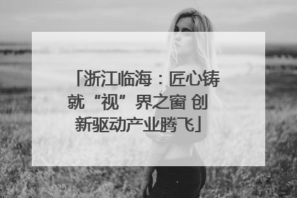 浙江临海：匠心铸就“视”界之窗 创新驱动产业腾飞