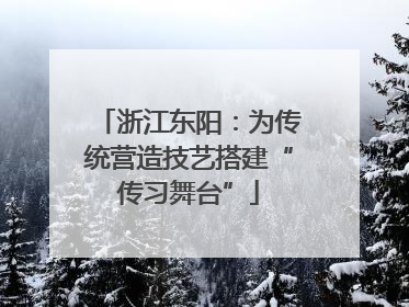 浙江东阳：为传统营造技艺搭建“传习舞台”