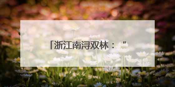 浙江南浔双林：“灵动教育”多方开展 点亮成长之路