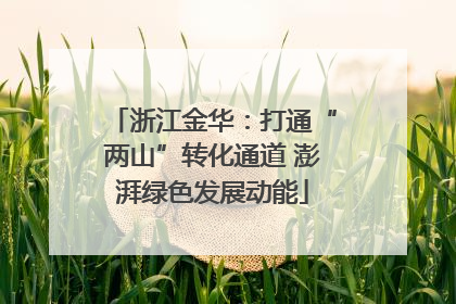 浙江金华：打通“两山”转化通道 澎湃绿色发展动能