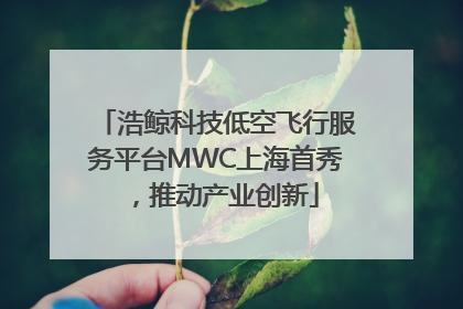 浩鲸科技低空飞行服务平台MWC上海首秀，推动产业创新