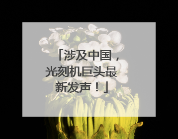 涉及中国，光刻机巨头最新发声！