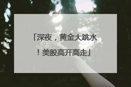 深夜，黄金大跳水！美股高开高走