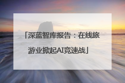 深蓝智库报告：在线旅游业掀起AI竞速战