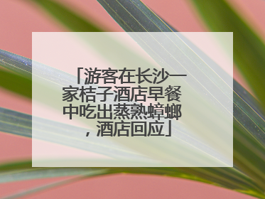 游客在长沙一家桔子酒店早餐中吃出蒸熟蟑螂，酒店回应