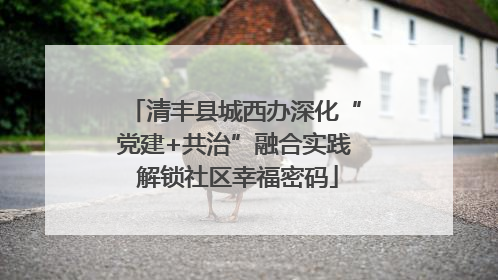 清丰县城西办深化“党建+共治”融合实践 解锁社区幸福密码
