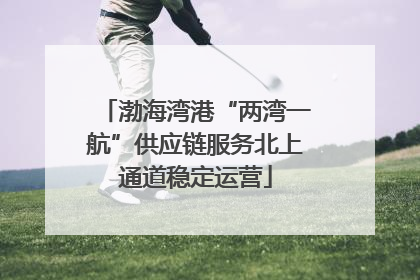 渤海湾港“两湾一航”供应链服务北上通道稳定运营