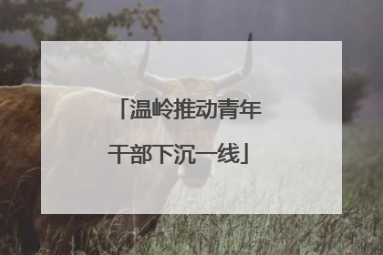 温岭推动青年干部下沉一线