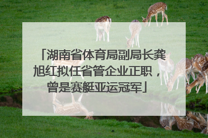 湖南省体育局副局长龚旭红拟任省管企业正职，曾是赛艇亚运冠军