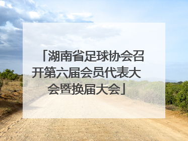 湖南省足球协会召开第六届会员代表大会暨换届大会