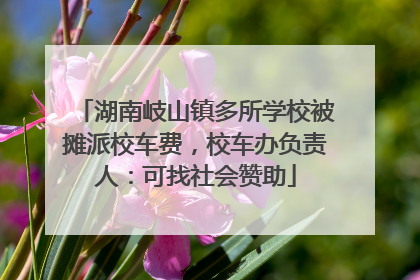 湖南岐山镇多所学校被摊派校车费，校车办负责人：可找社会赞助