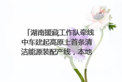 湖南援藏工作队牵线中车建起高原上首条清洁能源装配产线，本地大学生成车间检验员
