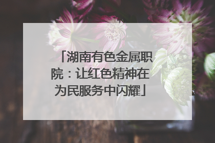 湖南有色金属职院：让红色精神在为民服务中闪耀