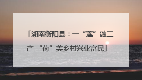 湖南衡阳县：一“莲”融三产 “荷”美乡村兴业富民