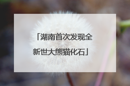 湖南首次发现全新世大熊猫化石