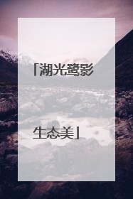 湖光鹭影生态美