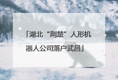 湖北“荆楚”人形机器人公司落户武昌