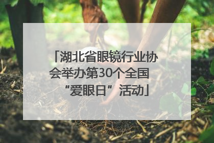湖北省眼镜行业协会举办第30个全国“爱眼日”活动