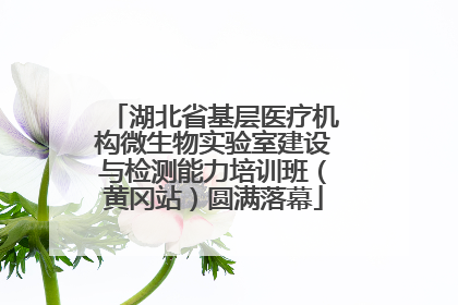 湖北省基层医疗机构微生物实验室建设与检测能力培训班（黄冈站）圆满落幕