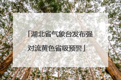 湖北省气象台发布强对流黄色省级预警