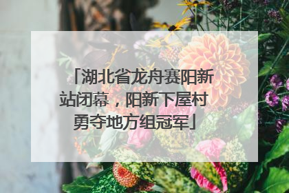 湖北省龙舟赛阳新站闭幕，阳新下屋村勇夺地方组冠军