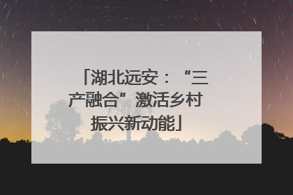 湖北远安：“三产融合”激活乡村振兴新动能