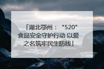 湖北鄂州：“520”食品安全守护行动 以爱之名筑牢民生防线