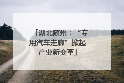 湖北随州：“专用汽车走廊”掀起产业新变革
