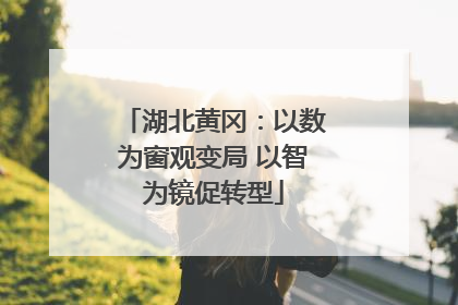 湖北黄冈：以数为窗观变局 以智为镜促转型