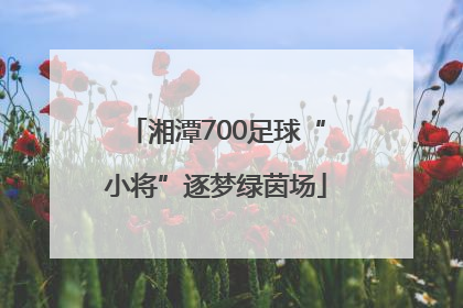 湘潭700足球“小将”逐梦绿茵场