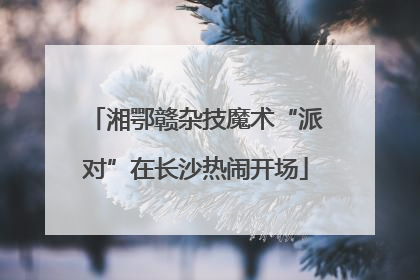 湘鄂赣杂技魔术“派对”在长沙热闹开场