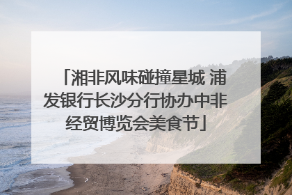 湘非风味碰撞星城 浦发银行长沙分行协办中非经贸博览会美食节