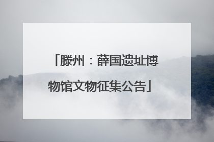 滕州：薛国遗址博物馆文物征集公告