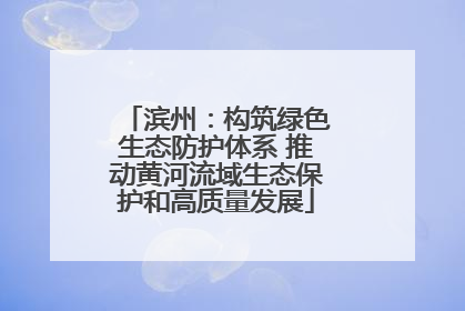 滨州：构筑绿色生态防护体系 推动黄河流域生态保护和高质量发展