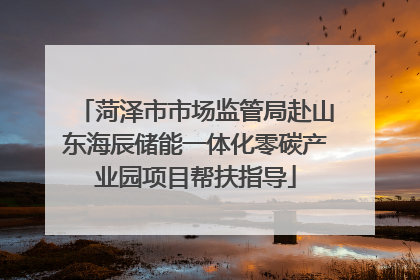 菏泽市市场监管局赴山东海辰储能一体化零碳产业园项目帮扶指导
