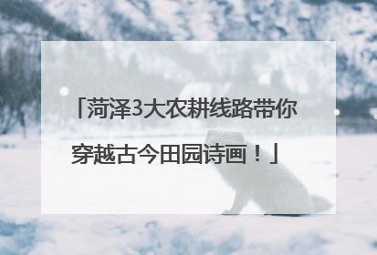 菏泽3大农耕线路带你穿越古今田园诗画！
