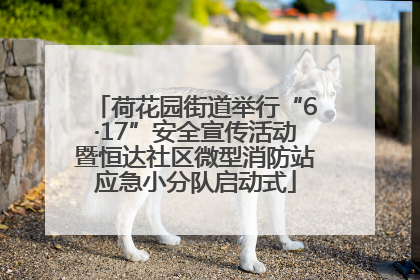 荷花园街道举行“6·17”安全宣传活动暨恒达社区微型消防站应急小分队启动式