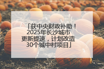 获中央财政补助！2025年长沙城市更新提速，计划改造30个城中村项目
