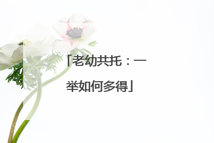 老幼共托：一举如何多得